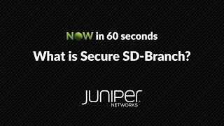 Now in 60: What is Secure-SD Branch?