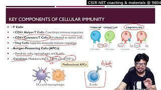 Cell mediated immunity | Cellular immune response mechanism | Shomu's Biology