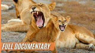 The Last Paradise on Earth - The Amazing Serengeti | Full Documentary