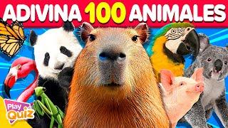 Adivina 100 Animales en 2 Segundos ⏰ | Play Quiz Trivia