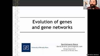 Evolution of gene networks -- rates of protein evolution
