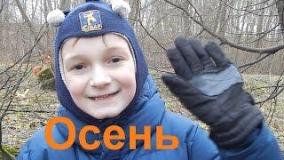 ВРЕМЕНА ГОДА "Осень" (отрывок) Сергей Козлов - Стихи для детей