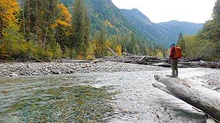 Baker River to Sulphide Creek (Hiking Trails in Washington)