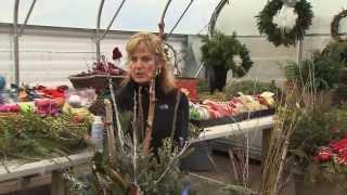 Great Gardening Winter Container Tip