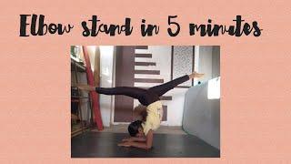 How to do an elbow stand in 5 minutes #gymnast #elbowstand #youtube #