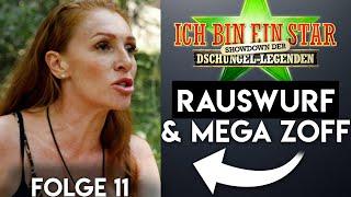 Dschungelcamp 2024 Rauswurf & heftige Eskalation bei Georgina, Kader und Sarah Knappik | Folge 11