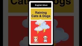 Raining Cats and Dogs - English Idiom