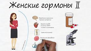 Женские гормоны (часть 2. Эстрогены, менопауза, анализы) - RedCells.ru