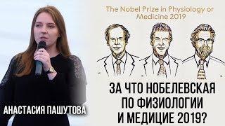 Анастасия Пашутова. За что вручили Нобелевскую премию по физиологии  и медицине в 2019?