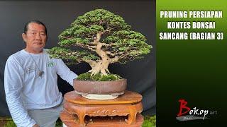 PRUNING PERSIAPAN KONTES BONSAI SANCANG (bagian 3)