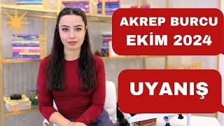 AKREP BURCU / UYANIŞ /EKİM 2024 /