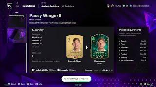 BEST PLAYERS TO EVO IN PACEY WINGER II EVOLUTION! FC 24 ULTIMATE TEAM