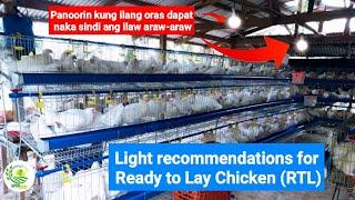 Tamang Oras ng pa-ilaw ng RTL | Light recommendations of (RTL) Chicken