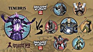 Shadow Fight 2 | Tenebris vs The Demons