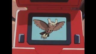 Noctowl Pokédex Entries..wmv