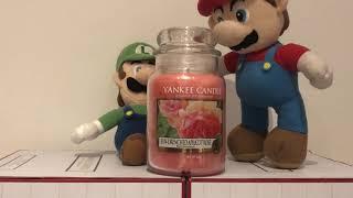 Yankee Candle Review: Sun-Drenched Aproit Rose ️