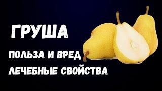 Груша Польза и Вред Лечебные Свойства