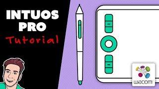 Wacom INTUOS PRO Small Tutorial (2019 Model)