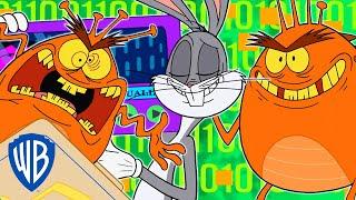 Looney Tunes | Computer Bugs | WB Kids