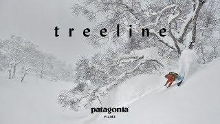 Treeline | The Secret Life of Trees | Patagonia Films