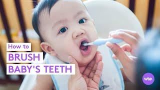 How to Brush Your Baby's Teeth - What to Expect