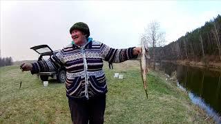 Бабка Надька с ловила щуку,  рыбалка в Свердловской области