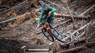 I ALMOST HIT A MOOSE IN A PRIVATE BIKE PARK