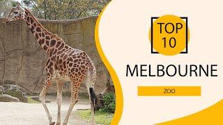 Top 10 Best Zoo to Visit in Melbourne | Australia - English