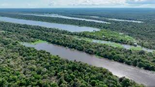 Graham Hancock - What is found in the Amazon Rainforest