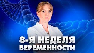 8 недель беременности. Выделения. Ребенок на этом сроке. Развития плода.