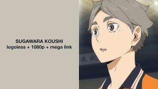 Sugawara Koushi Season 4 Scenes || Logoless, 1080p + Mega link