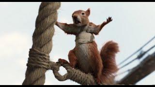 All squirrel scenes from Dolittle