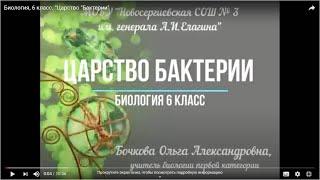 Биология, 6 класс. "Царство "Бактерии"