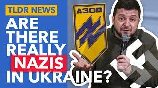 Are Putin's Claims About Ukrainian Nazis Real? - TLDR News