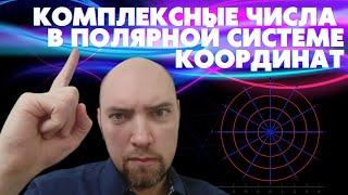 Что такое комплексные числа в полярной системе координат? Душкин объяснит