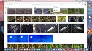 How To Use Google Photos - Introduction -