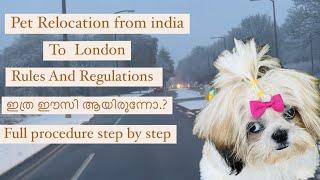 Pet Relocation From India To Uk | step by step procedure | ഇത്ര ഈസി ആയിരുന്നോ