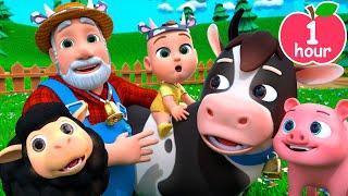 Old MacDonald Had a Farm | Newborn Baby Songs & Nursery Rhymes