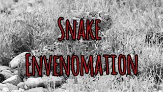 Snake Envenomation In Austere Environments