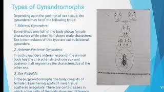 gyn and haploiddiploid method sex determine