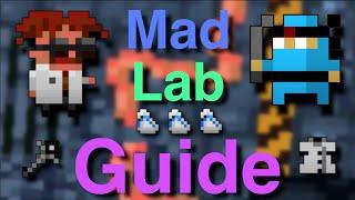 RotMG - Mad Lab Guide