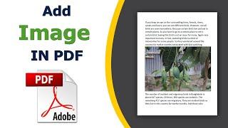 How to add images in a pdf using adobe acrobat pro dc