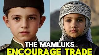 Mamluks The Slave Soldiers Who Became Rulers