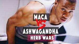 Herb Wars: Maca Root VS Ashwagandha. 4 Rounds, 1 winner