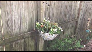 Creating hanging baskets for the shade garden