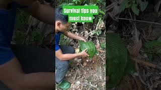 Survival tips you must know #ntdtip #tipsnntricks#tips #tricks #survival #shorts