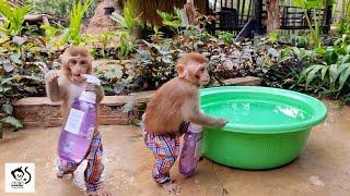 Smart Alex Cutely Deliver Shampoo for His Shower & Waiting for Mom