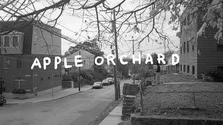 apple orchard | a film by NATIVE