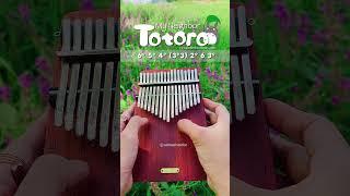 My Neighbor Totoro Path of The Wind Kalimba Tutorial #kalimba