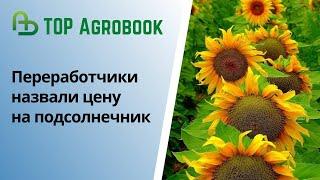 Переработчики назвали цену на подсолнечник. TOP Agrobook: обзор аграрных новостей